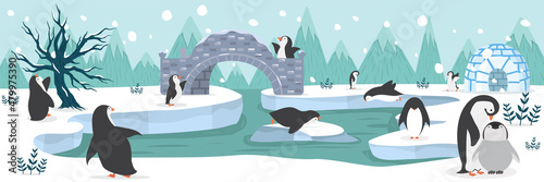 Obraz na plátně North pole Arctic penguins animal background