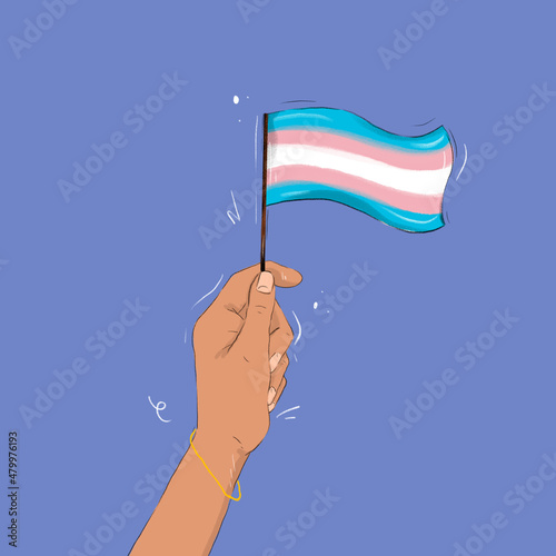 transgender flag