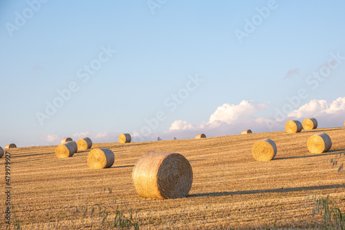 Balle di fieno in un campo dorato photo