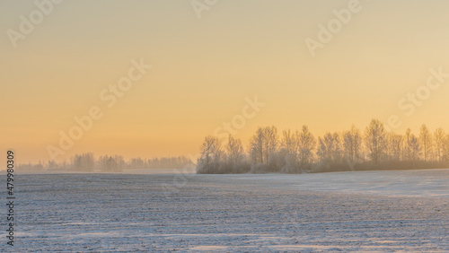 Winter landscape in snow nature with sun, field and trees. Magical winter sunset in a snow field. © kalyanby