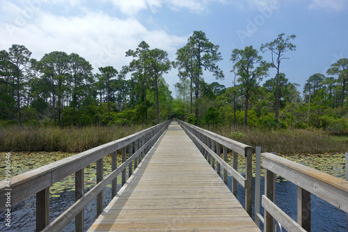 Boardwalk on Florida Gulf Coast