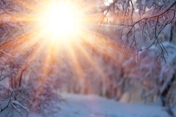 Sunset or sunrise in winter snow. Beautiful nature concept