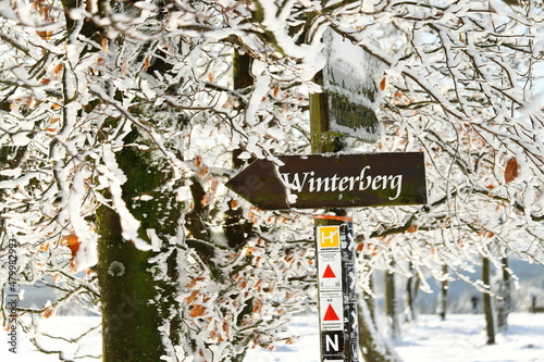 wegweiser im winter - winterberg - sauerland