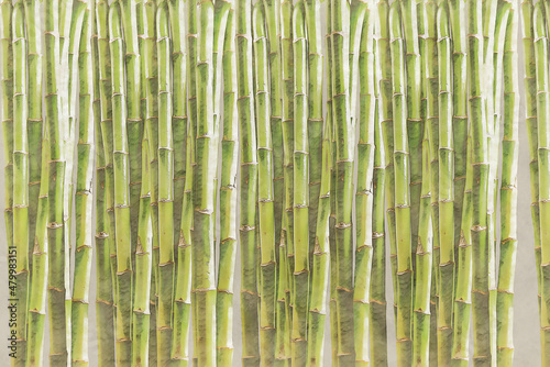 Illustration sketch of Green Bamboo wall backround