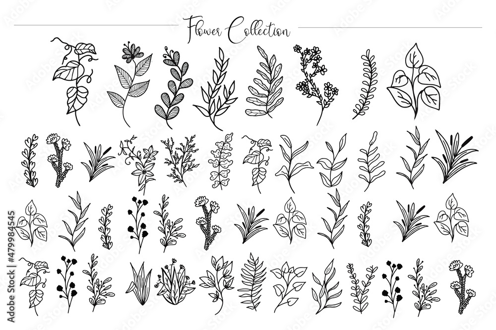 Naklejka premium set of elements leaf and flower