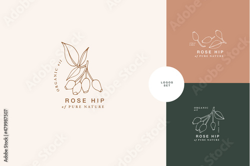 Vector illustration rose hip branch - vintage engraved style. Logo composition in retro botanical style.