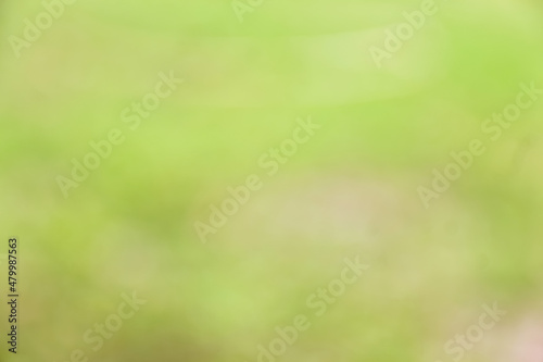 green grass blur background