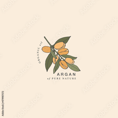 Vector illustration argan branch - vintage engraved style. Logo composition in retro botanical style.
