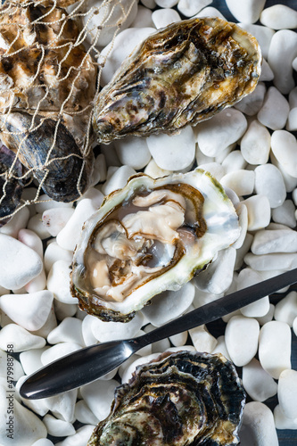 Oysters on stones