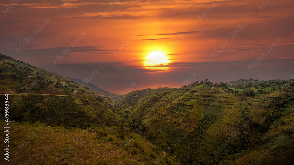 Beautiful landscape in southwestern Uganda, at the Bwindi Impenetrable Forest National Park, at the borders of Uganda, Congo and Rwanda. The Bwindi National Park is the home of the mountain gorillas
