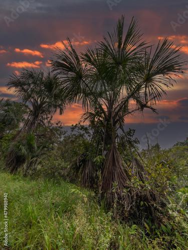 Sunrise over the mountains of the Sierra Nevada de Santa Marta on the way to Lost City