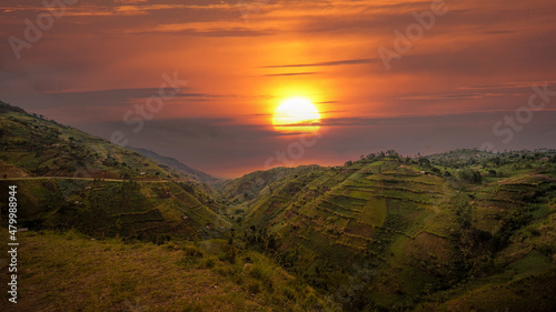 Beautiful landscape in southwestern Uganda, at the Bwindi Impenetrable Forest National Park, at the borders of Uganda, Congo and Rwanda. The Bwindi National Park is the home of the mountain gorillas photo