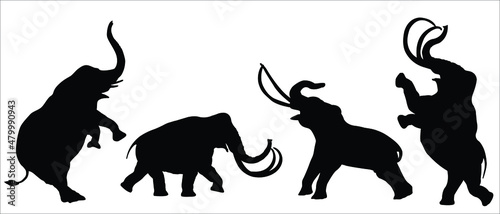 Silhouette of African Elephant- stock vector illustration © MD