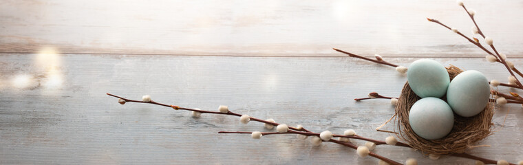 Tender blue easter eggs with  pussy willow on gray wood. Horizontal background with bokeh for easter concepts with space for text.