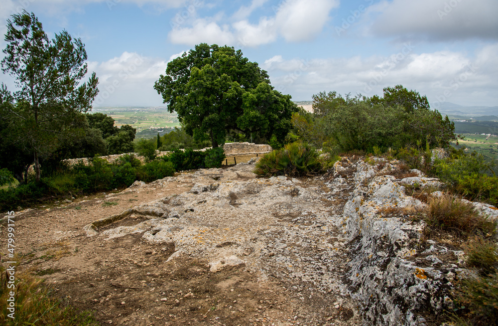 Roman ruins of Olerdola