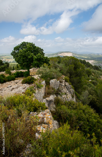 Walls of roman ruins of Olerdola