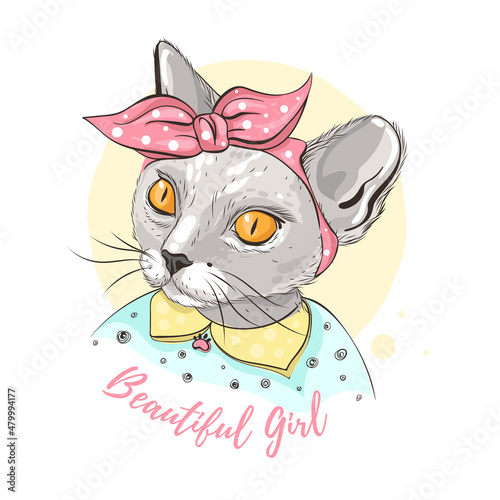 Fashion portrait of hipster gray cat with head scarf, isolated on white. Vector hand drawn illustration