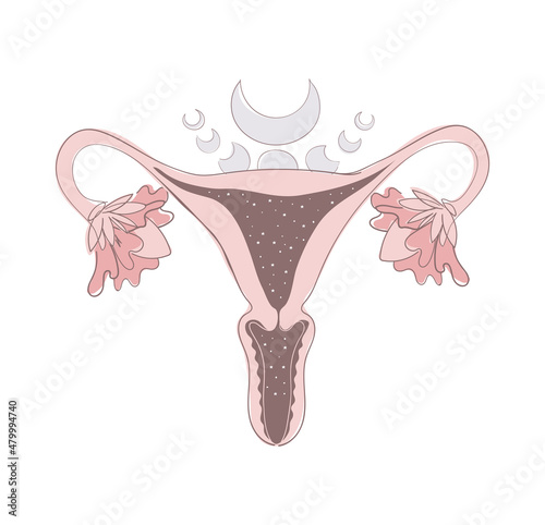 Boho illustration of a female uterus, vagina and blooming ovaries with phases of the moon. Magic illustration, sacred female symbol, tantra. Vector hand drawing isolated on white background.