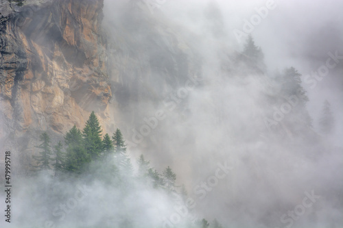 Silhouettes of trees hidden by the mist rising from a valley in the Italian Alps. Gran Paradiso National Park.