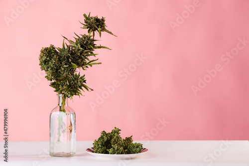 Fotobehang bouquet of marijuana in pot vase with buds of weed on pink background