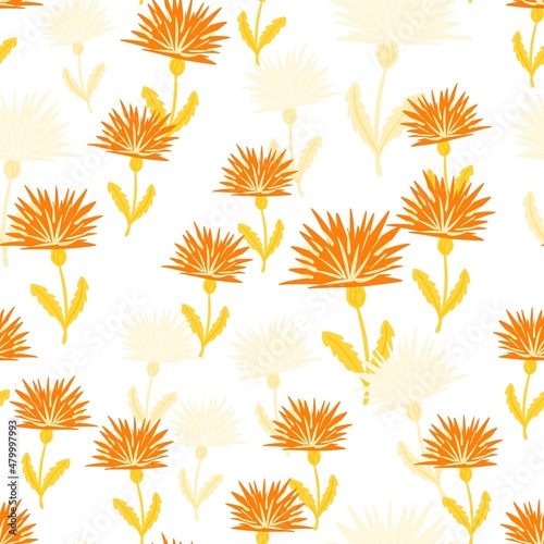 Dandelion cute seamless pattern. Hand drawn meadow background.
