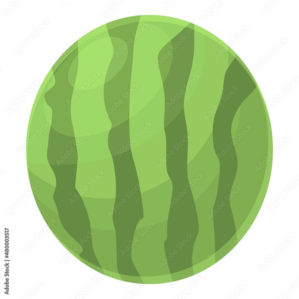Watermelon icon cartoon vector. Water fruit. Summer fruit