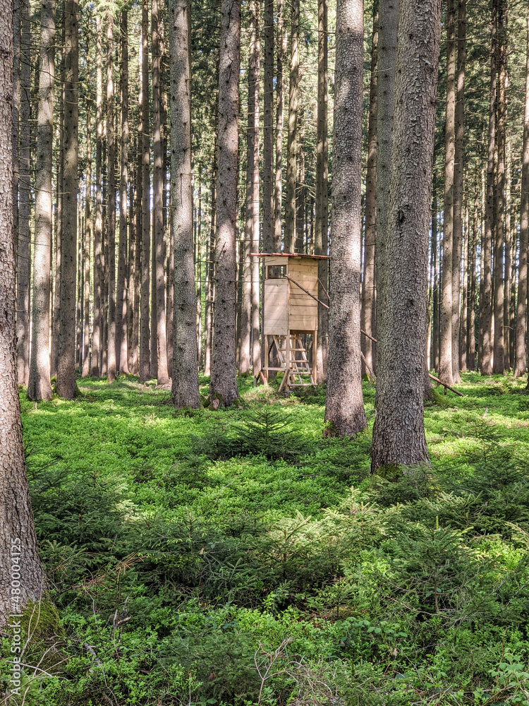 little hunters hut in the woods little hunters hut in the woods