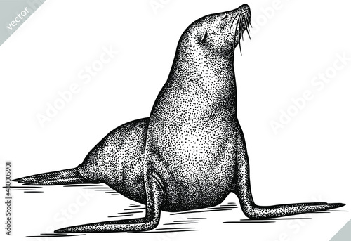 black and white engrave isolated seal vector illustration