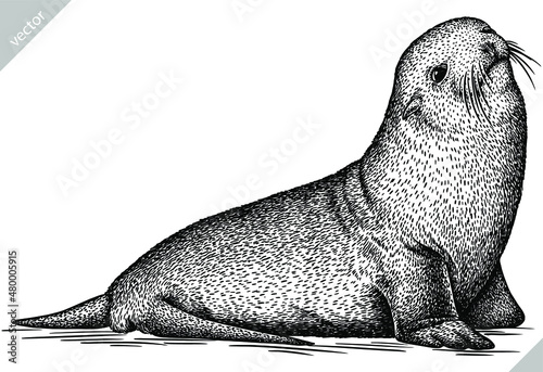 black and white engrave isolated seal vector illustration
