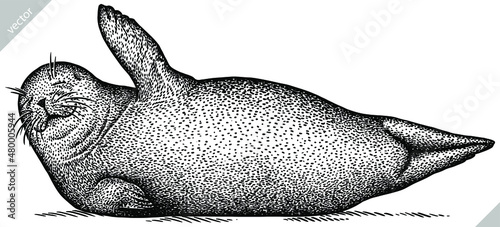 black and white engrave isolated seal vector illustration