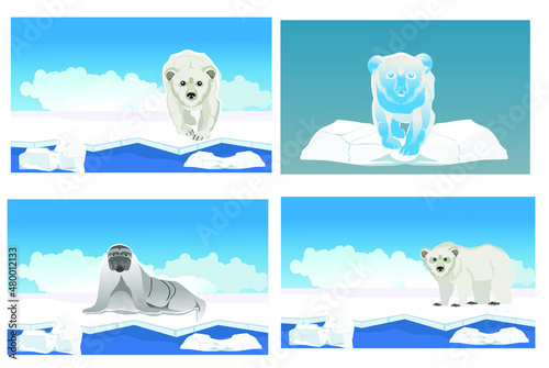 polar bears in the snow