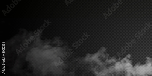 White smoke puff isolated on transparent black background. PNG. Steam explosion special effect. Effective texture of steam, fog, smoke png. Vector illustration 