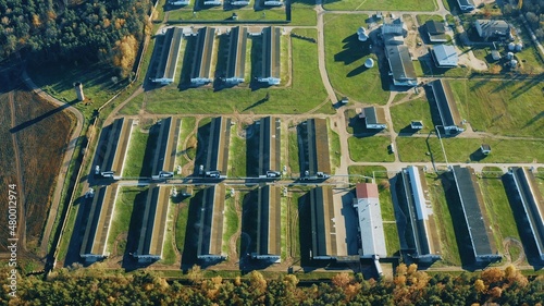 Aerial View Modern chicken farm, barns, Sheds. Bird's-eye View In Sunny Rural Landscape 4K © Grigory Bruev