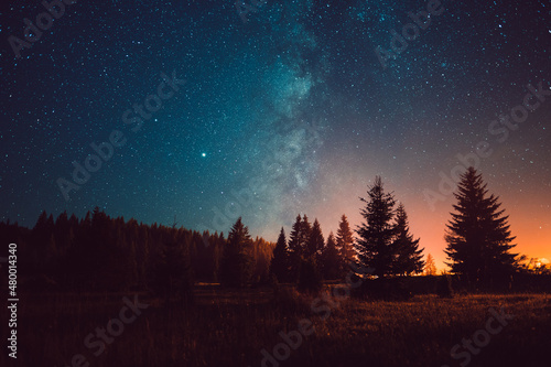 Night sky with the Milky Way over the forest