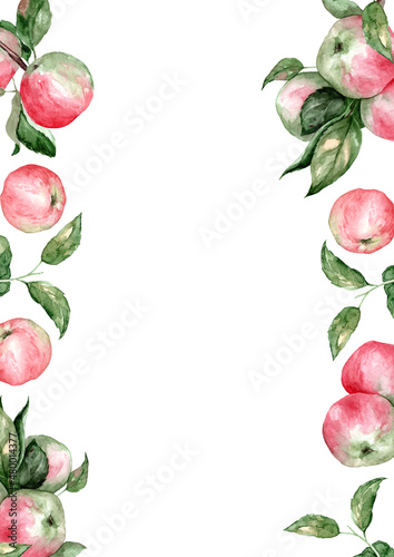 Vertical printable template with red apples. Free space for text. Realistic botanical illustration. Menu template, invitation, hand drawn, fresh juicy food
