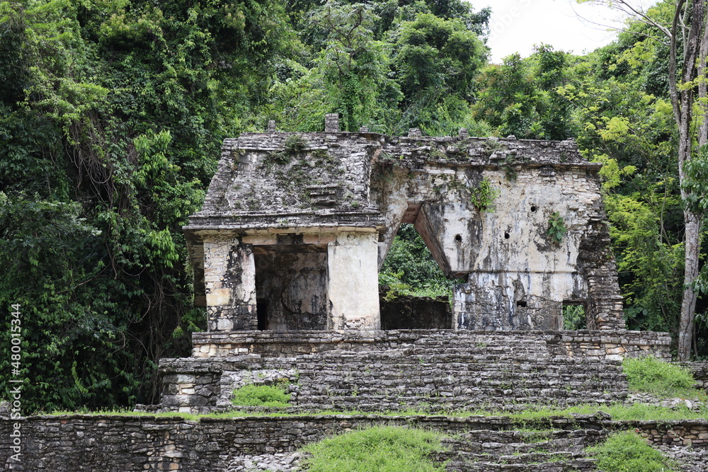 Ruinas de Palenque Ruinas de Palenque