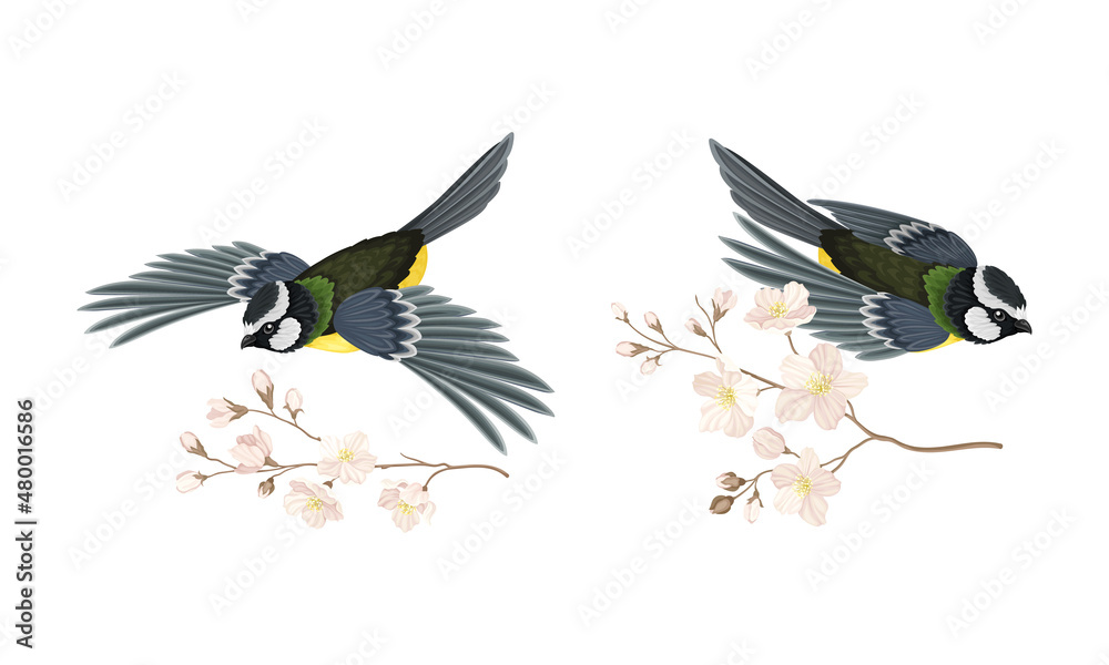 Naklejka premium Titmouse bird and blooming twig of sakura tree set cartoon vector illustration
