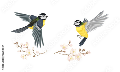 Tit bird flying towards blooming twig of sakura tree set cartoon vector illustration