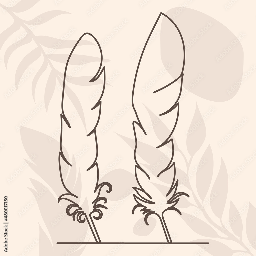 Fototapeta bird feather drawing by one line, on an abstract background, sketch, vector