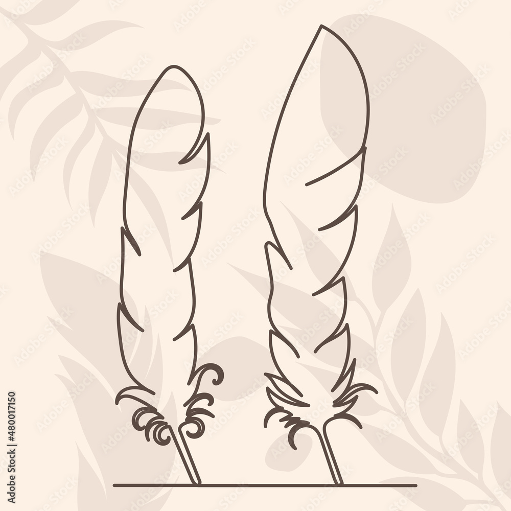 bird feather drawing by one line, on an abstract background, sketch, vector bird feather drawing by one line, on an abstract background, sketch, vector