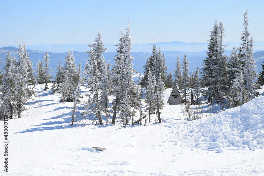 snow slopes of sheregesh