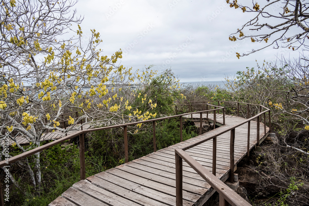 landscape with views of the islands of the Galapagos archipelago 