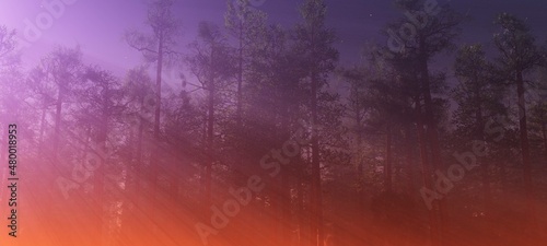 Rays of light among the trees, morning fog in the park, the light of the sun over the forest, 3D rendering © ustas