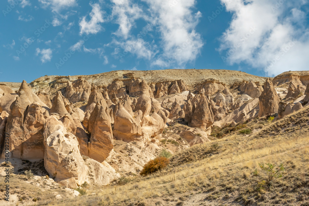 Fototapeta premium Devrent Valley or Dream Valley and fairy chimneys in Cappadocia, Turkey. Devrent Valley or Dream Valley is one of the most popular touristic places in Cappadocia.