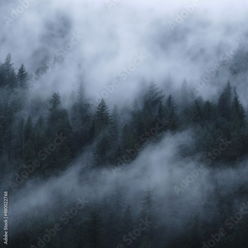 Through the Mist © Geoffrey
