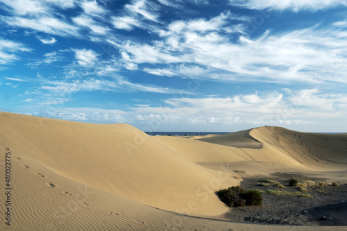 Dunes in Maspalomas  Gran Canaria at afternoon