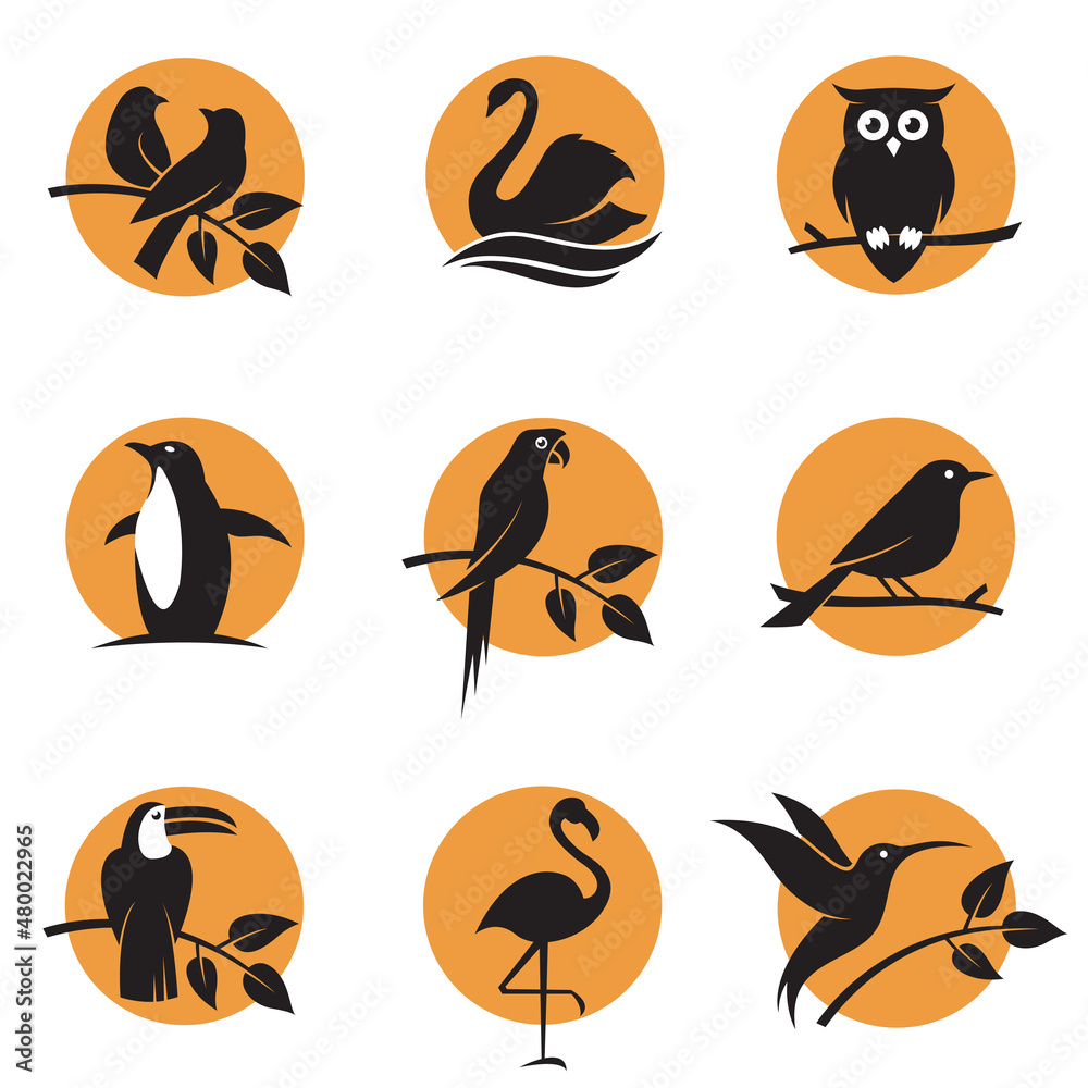 collection of various bird icons against background of sun collection of various bird icons against background of sun