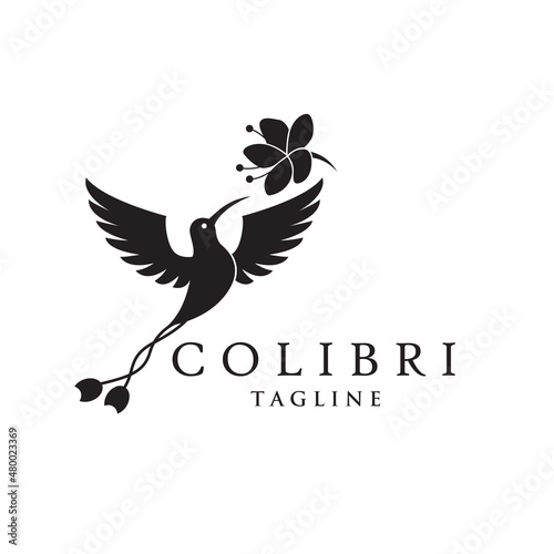 icon of flying colibri and flower isolated on white background