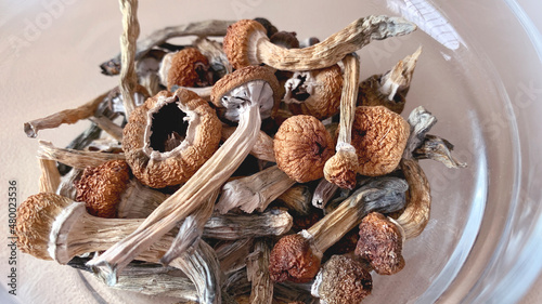 Dried Psychedelic mushrooms in glass bowl. Psilocybin mushrooms