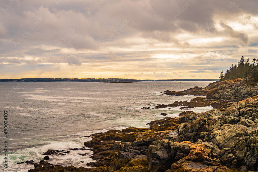 late afternoon light on rocky coastline of Acadia National Park, Maine, USA
